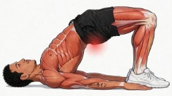 Illustration of the Glute Bridge