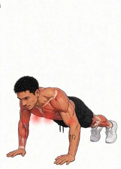 Illustration of the Push-Up